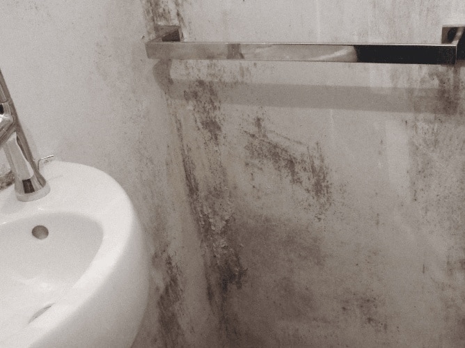 moisissures sur les murs et les plafonds d'une salle de bain