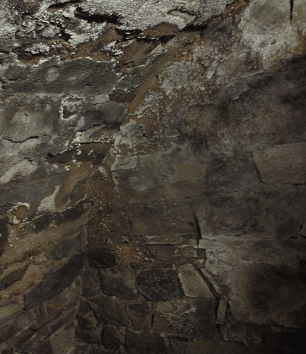 salpetre sur les murs d'une cave à cause de la présence d'humidité constante