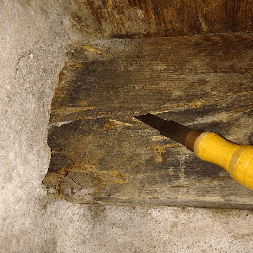 travaux de traitement contre les insectes de bois : phase de sondage du bois