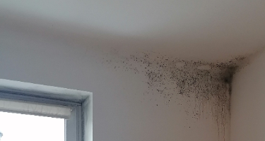 la condensation entraine le développement de moisissures