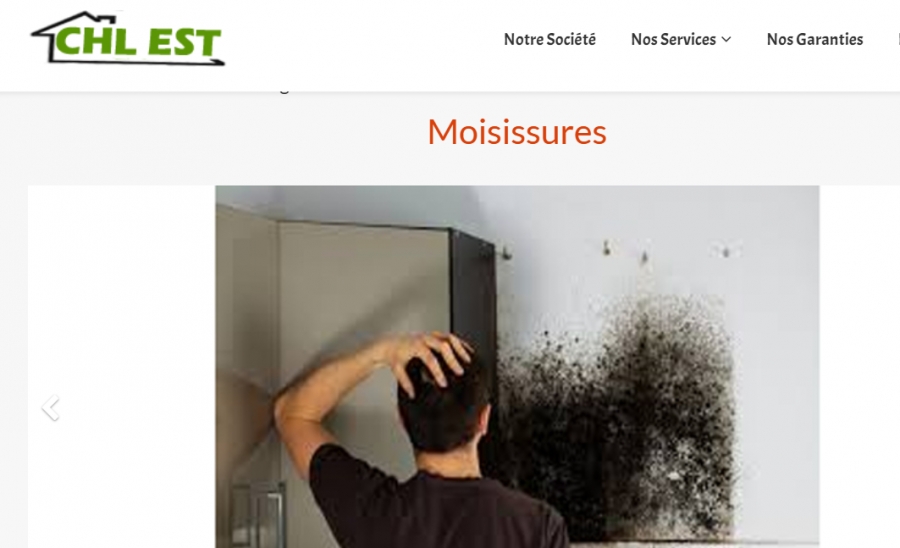 Moisissures murs Hayange