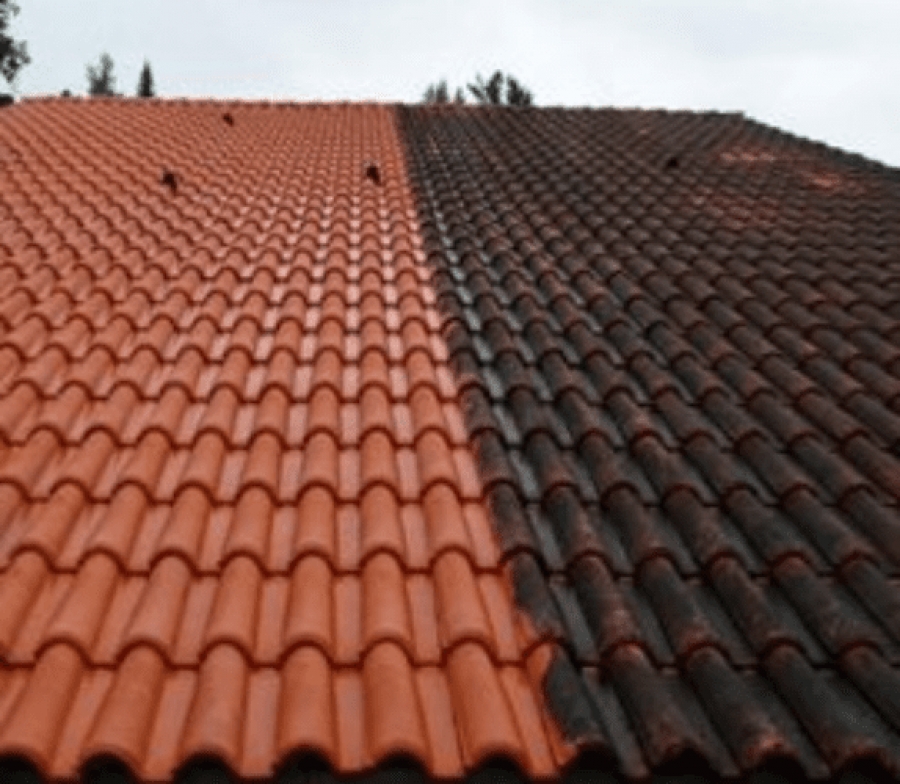 Comment traiter la mousse du toit